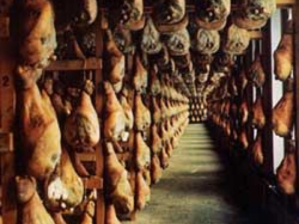 Immagine descrittiva per percorso