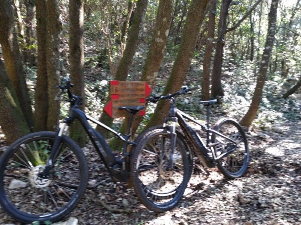 Immagine descrittiva per percorso