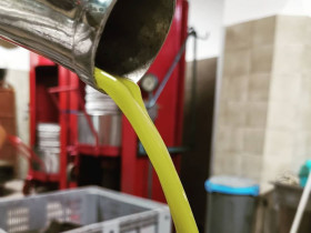 Immagine descrittiva per percorso