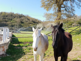 Immagine descrittiva per percorso