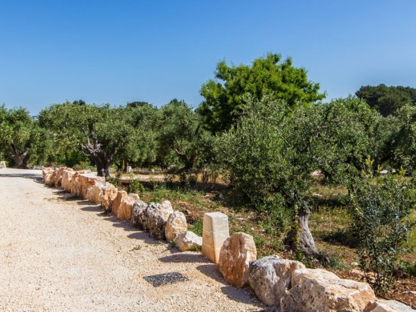 Immagine descrittiva per percorso