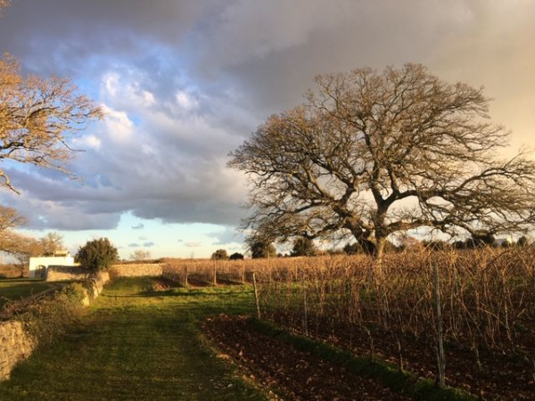 Immagine descrittiva per percorso