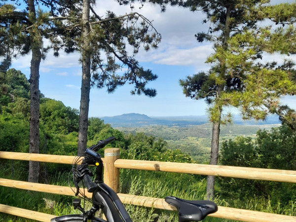 Immagine descrittiva per percorso