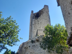 Immagine descrittiva per percorso