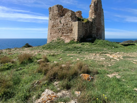 Immagine descrittiva per percorso