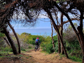 Immagine descrittiva per percorso