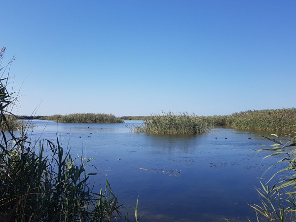 Immagine descrittiva per percorso