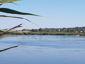 Immagine descrittiva per percorso