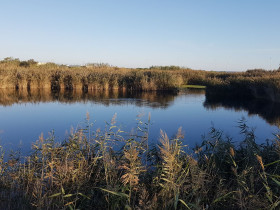 Immagine descrittiva per percorso