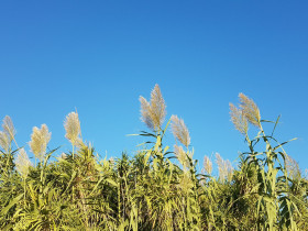 Immagine descrittiva per percorso