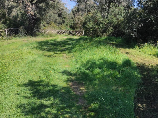 Immagine descrittiva per percorso