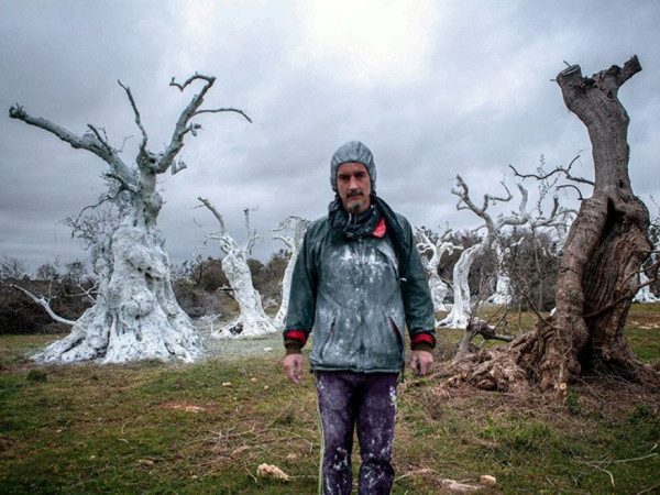 Immagine descrittiva per percorso