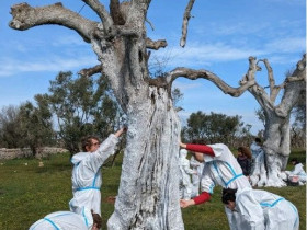 Immagine descrittiva per percorso