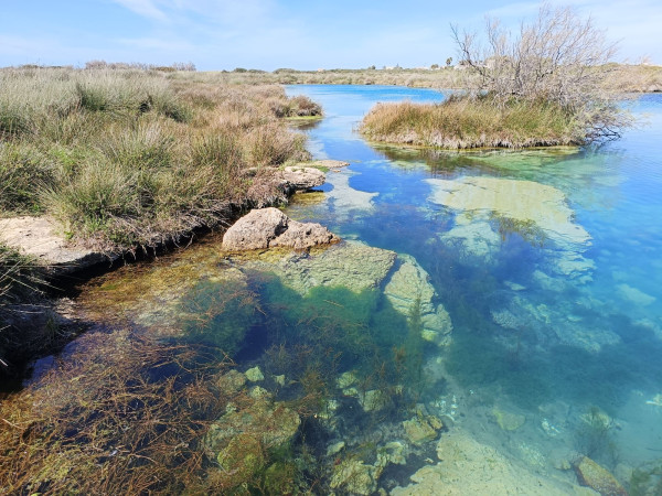 Immagine descrittiva per percorso