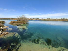 Immagine descrittiva per percorso