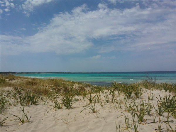 Immagine descrittiva per percorso