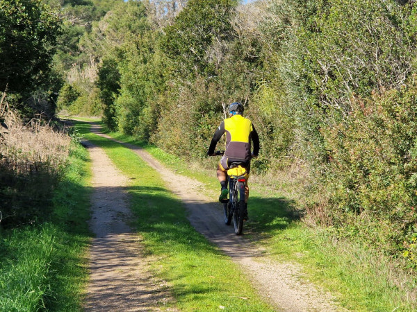 Immagine descrittiva per percorso