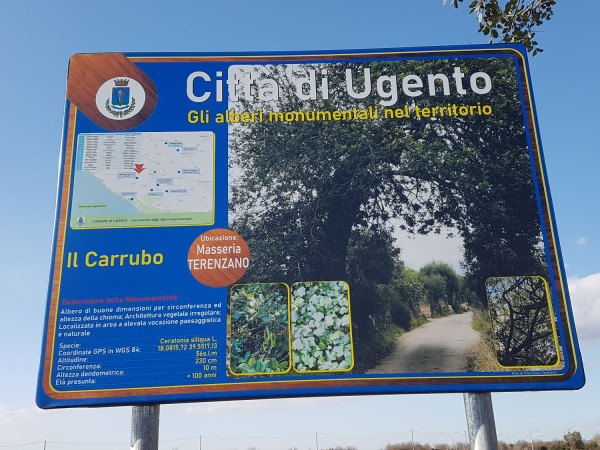 Immagine descrittiva per percorso