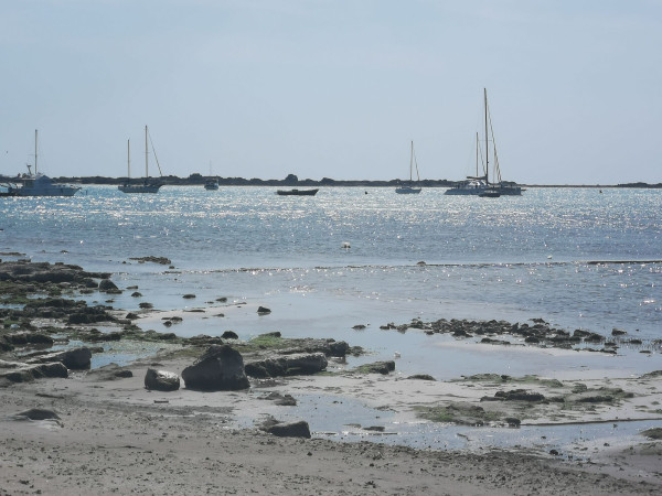 Immagine descrittiva per percorso