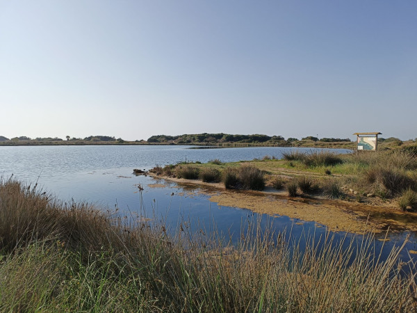 Immagine descrittiva per percorso