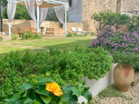 Immagine descrittiva per percorso