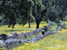 Immagine descrittiva per percorso