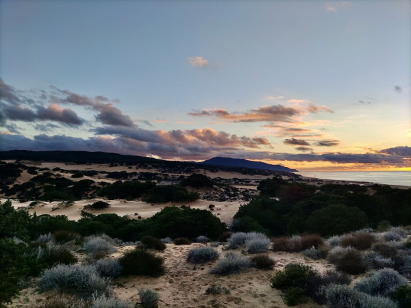 Immagine descrittiva per percorso