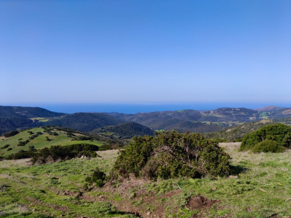 Immagine descrittiva per percorso