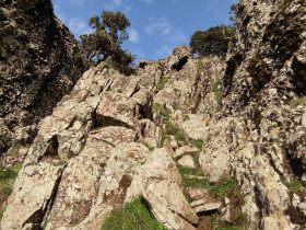 Immagine descrittiva per percorso