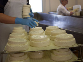 Immagine descrittiva per percorso