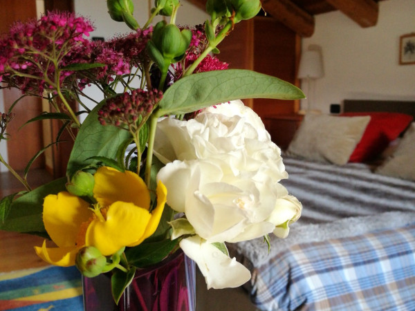 Immagine descrittiva per percorso