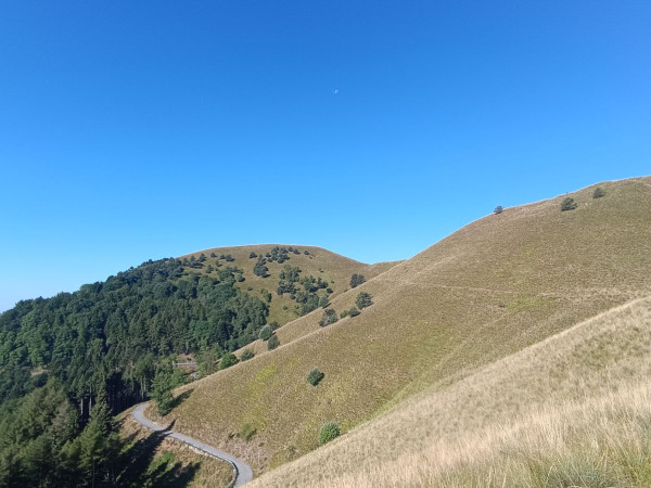 Immagine descrittiva per percorso