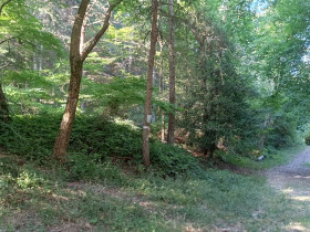 Immagine descrittiva per percorso