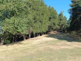 Immagine descrittiva per percorso