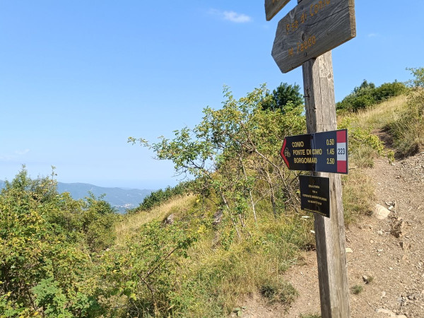 Immagine descrittiva per percorso