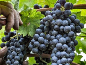 Immagine descrittiva per percorso