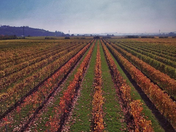 Immagine descrittiva per percorso