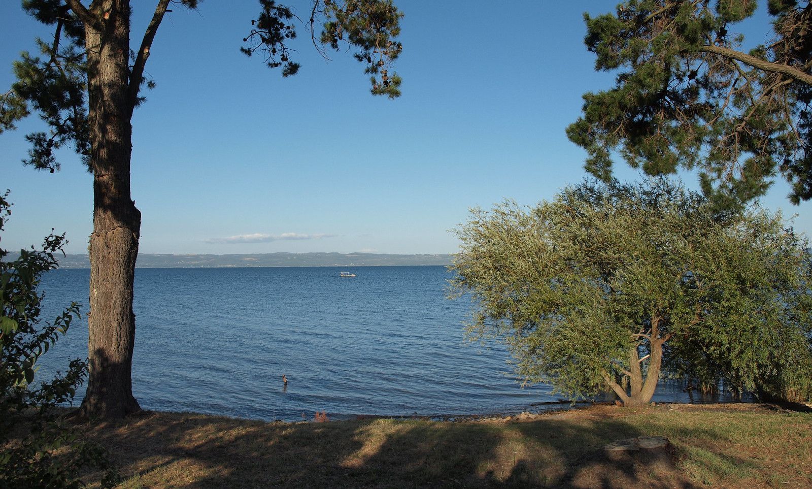 Pedalare Intorno Al Lago Di Bolsena | Percorsi E-bike Bolsena | BikeSquare