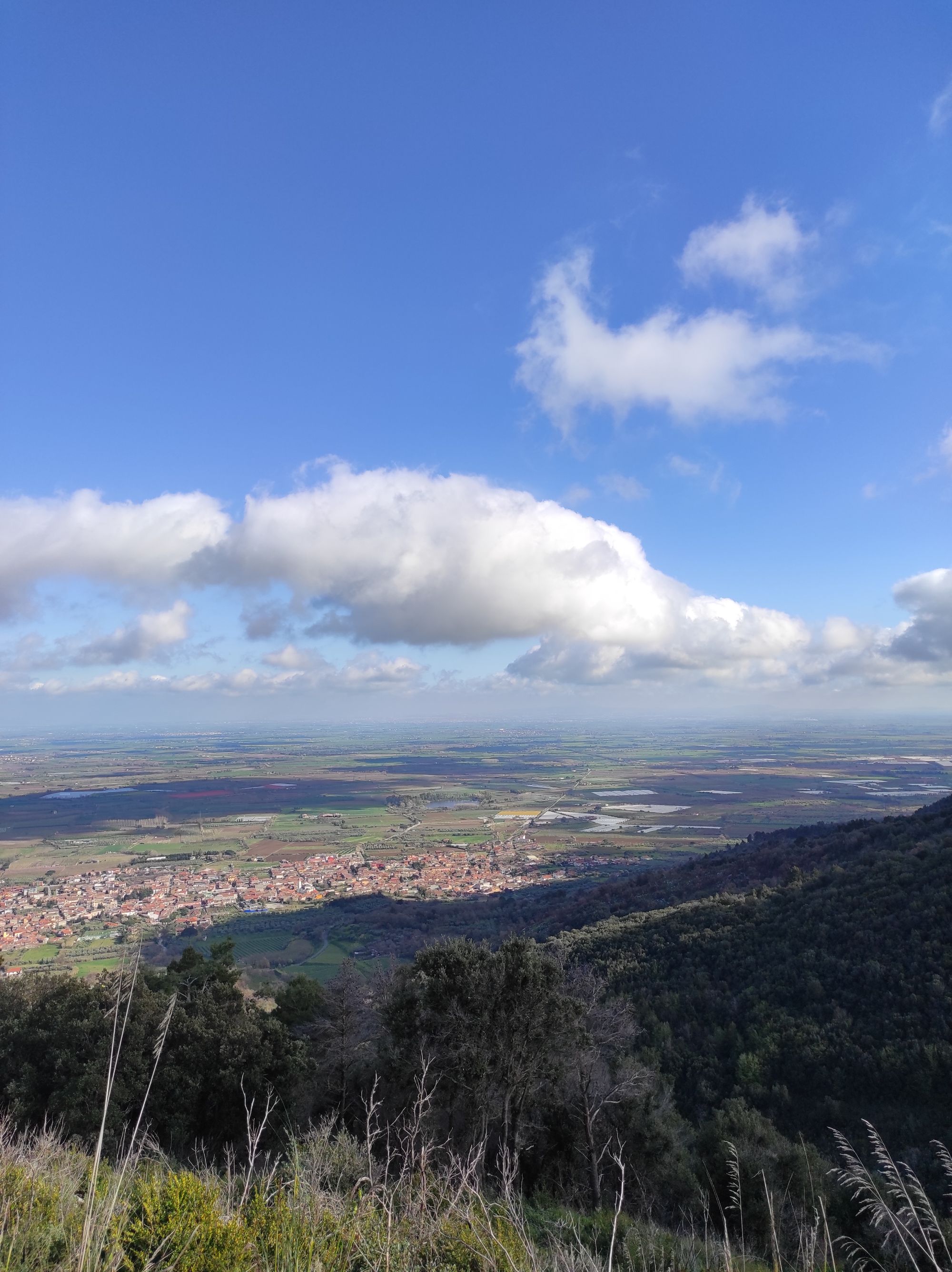 falciano-del-massico