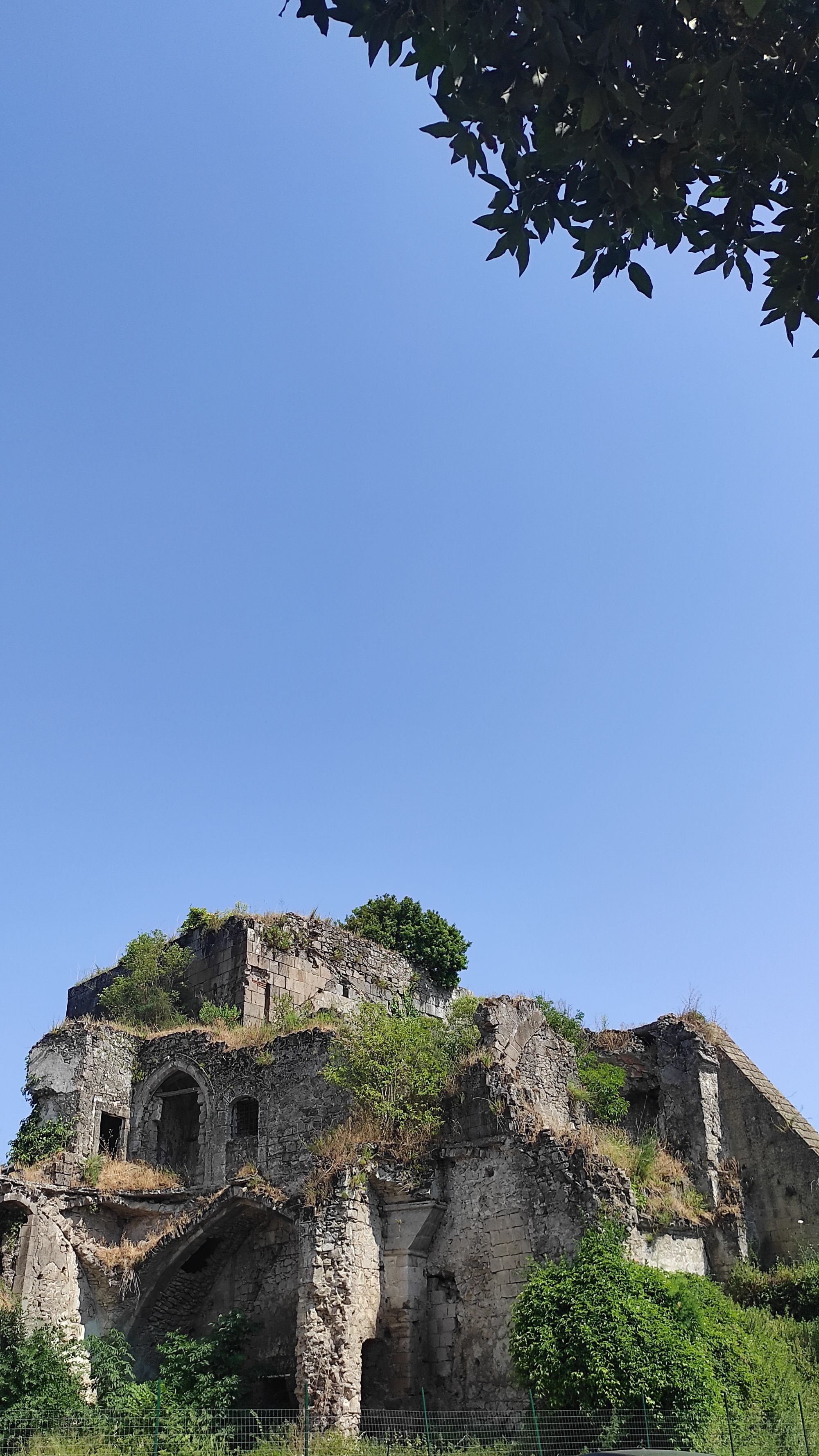 falciano-del-massico