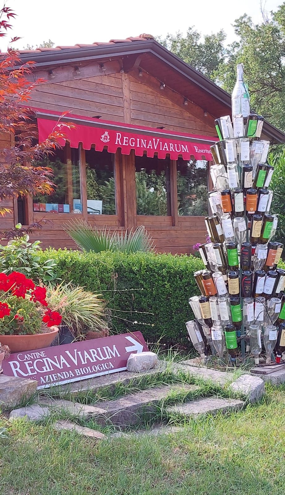 falciano-del-massico