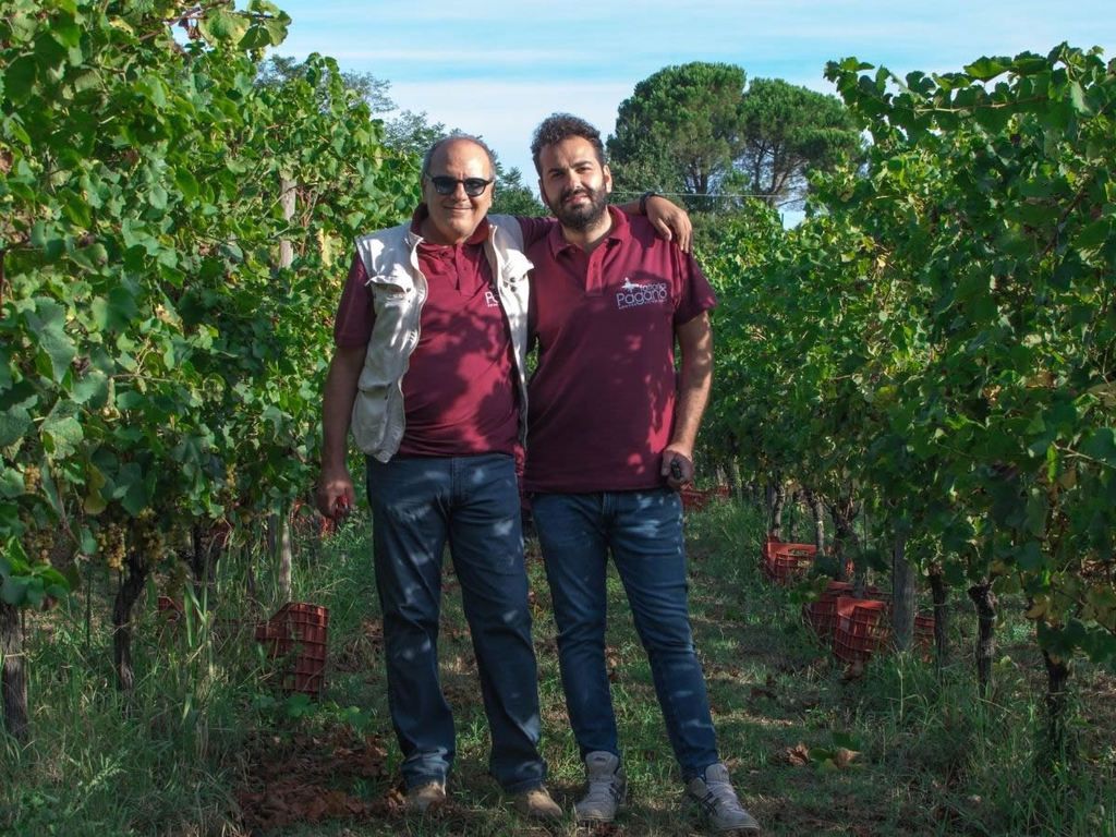 falciano-del-massico