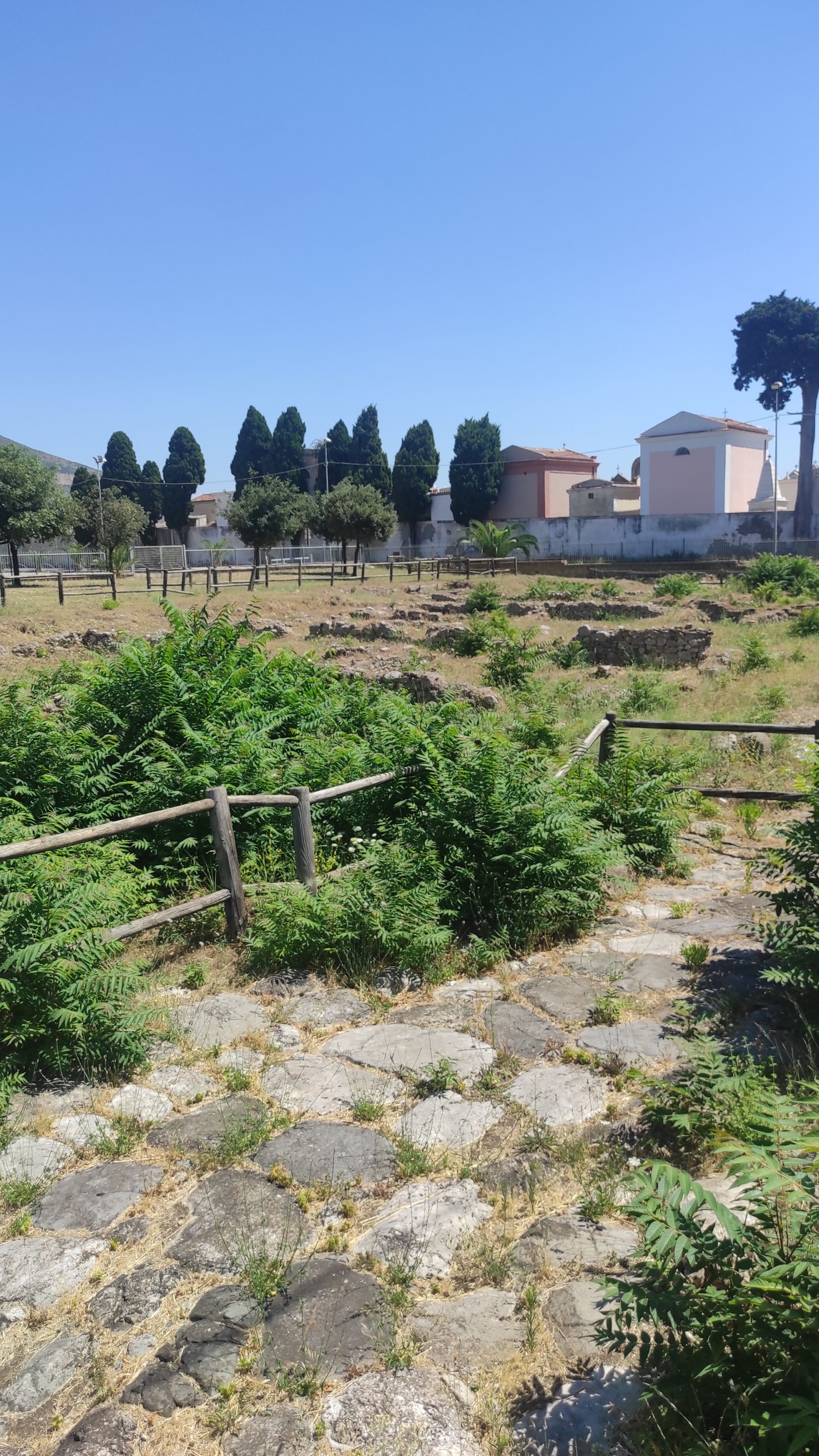 falciano-del-massico