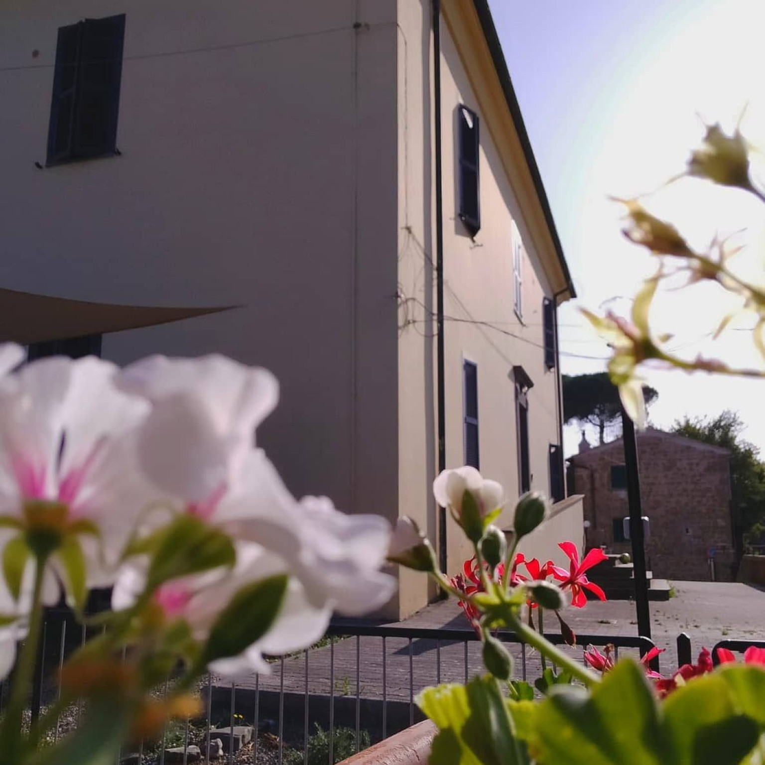 Hero Ostello Ortensi