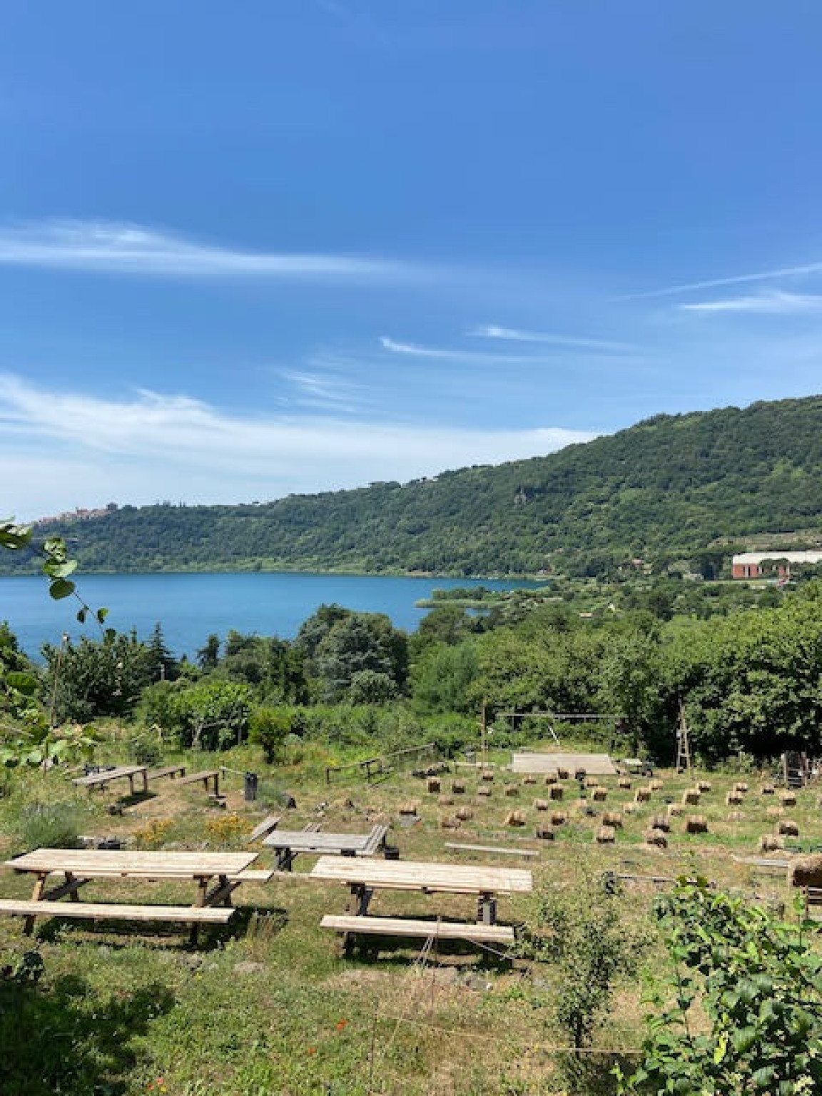 Hero azienda agricola NEMUS