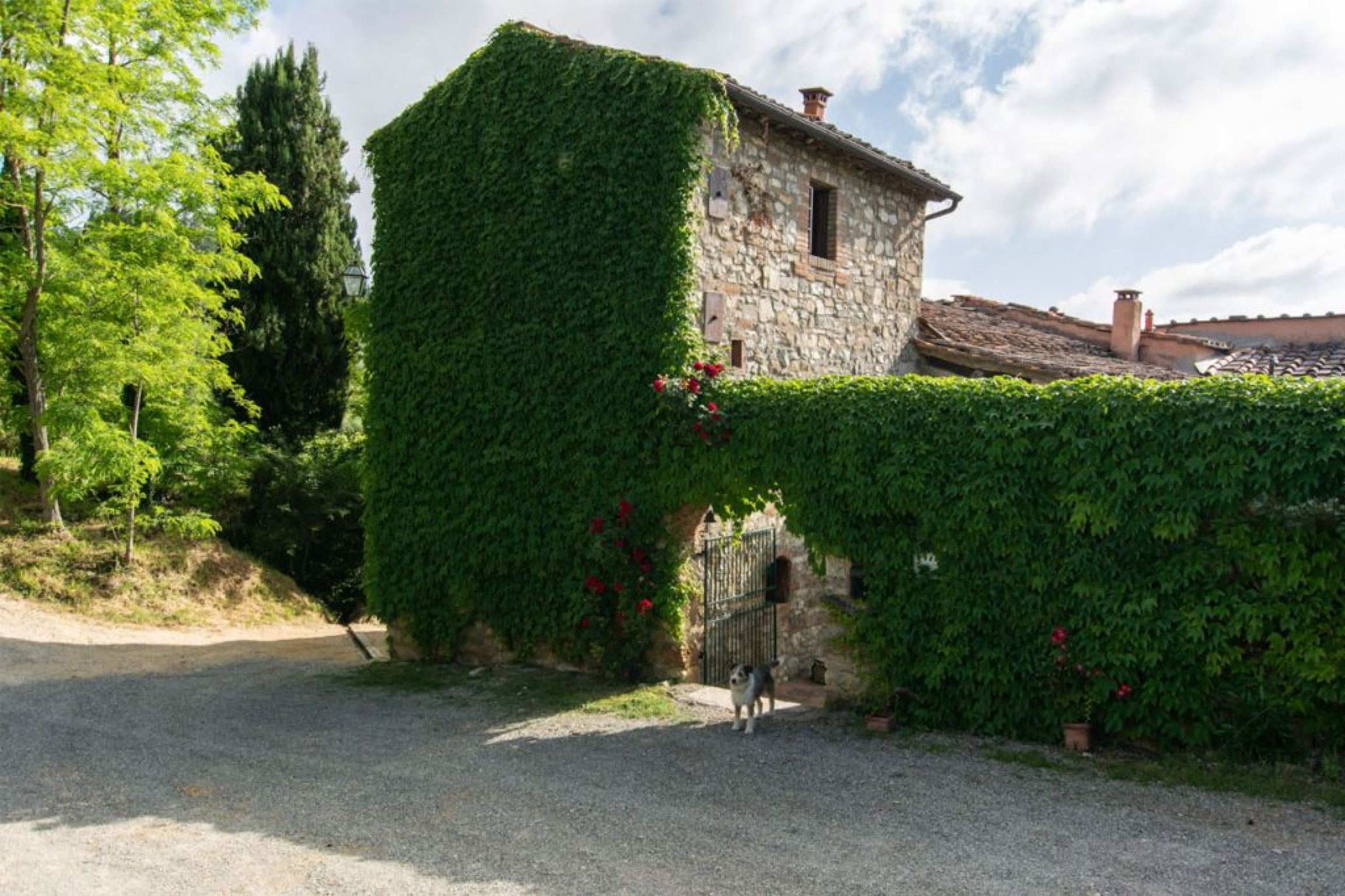 Hero Buondonno - Casavecchia alla Piazza