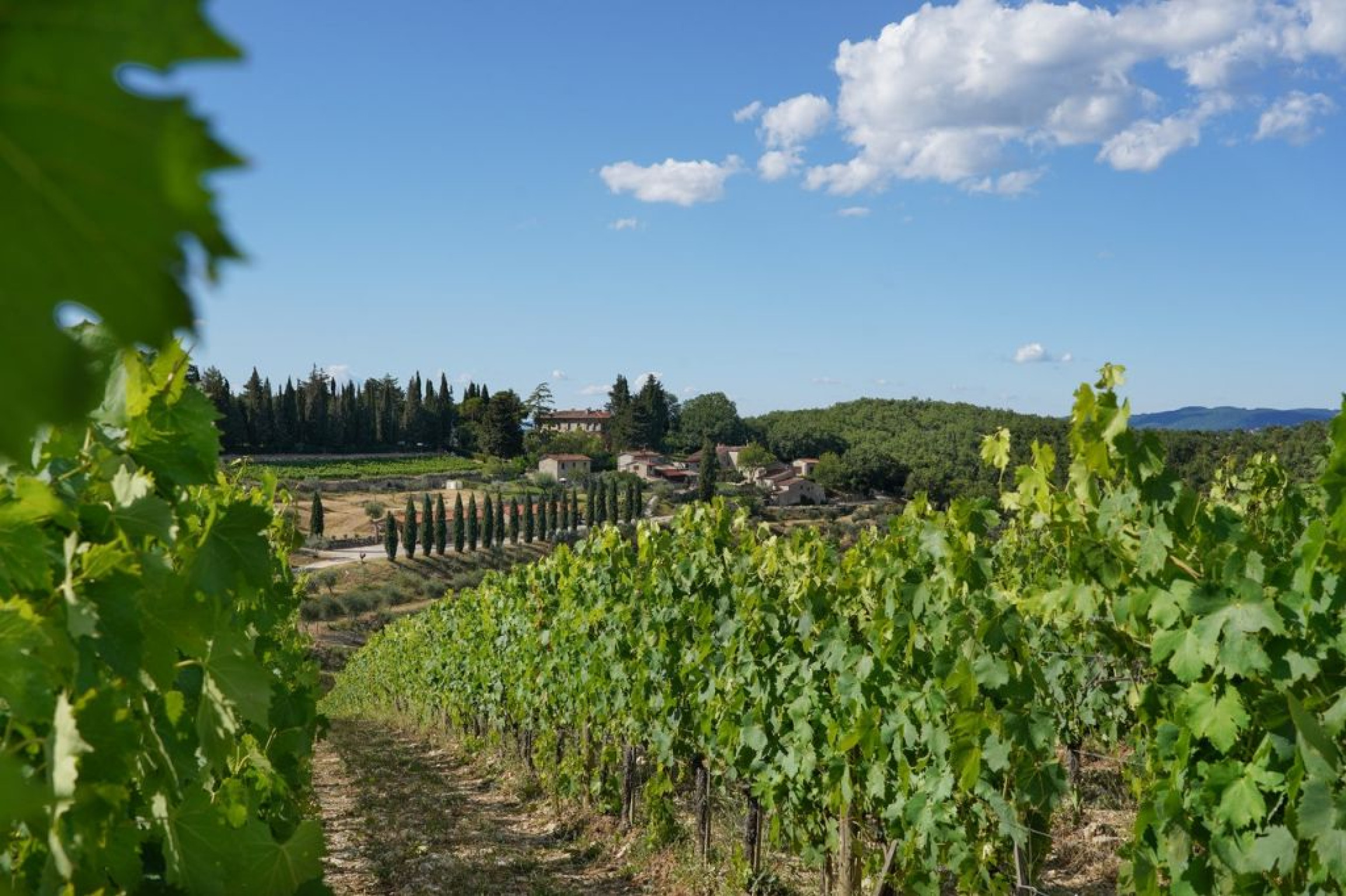 Hero Querceto di Castellina