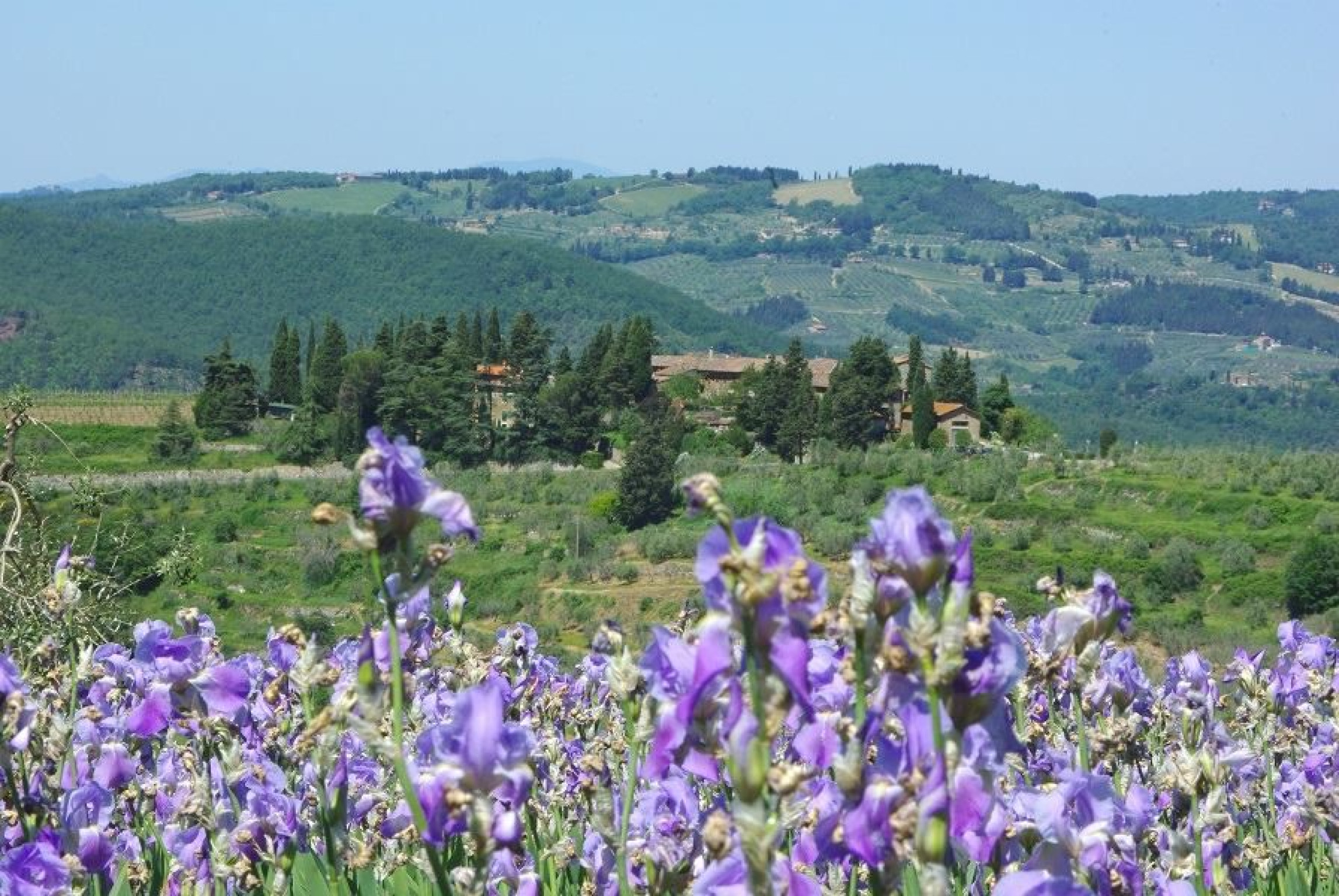 Hero Castellinuzza e Piuca