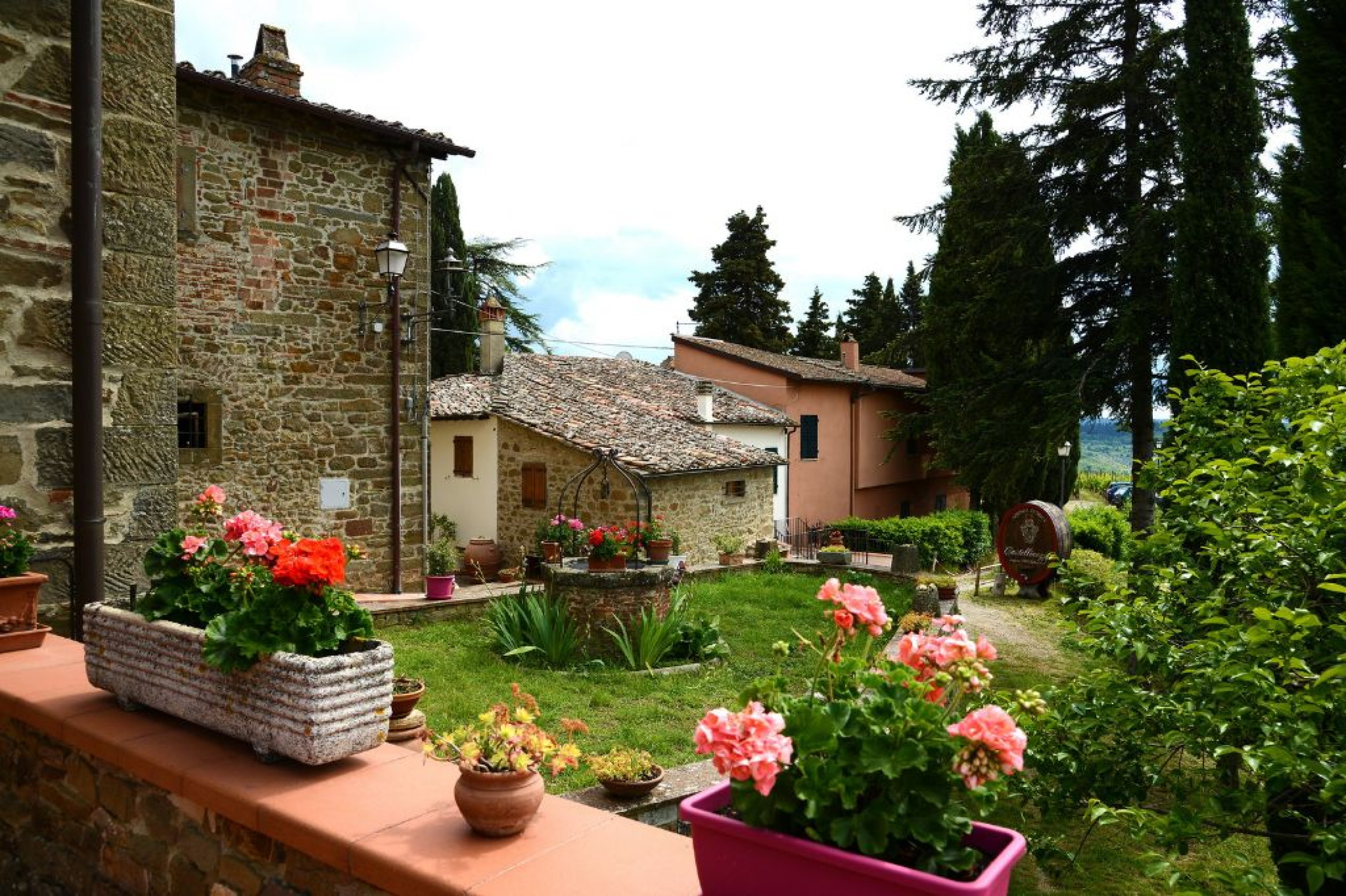 Hero Castellinuzza di Cinuzzi