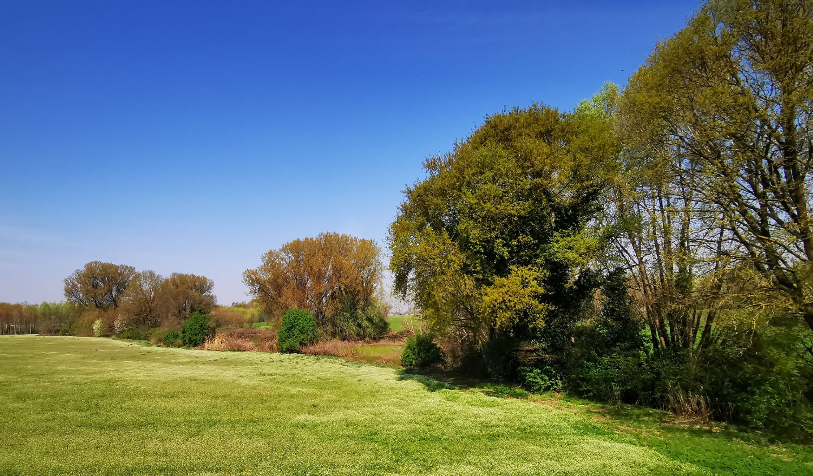 Hero Bodrio del Lazzaretto